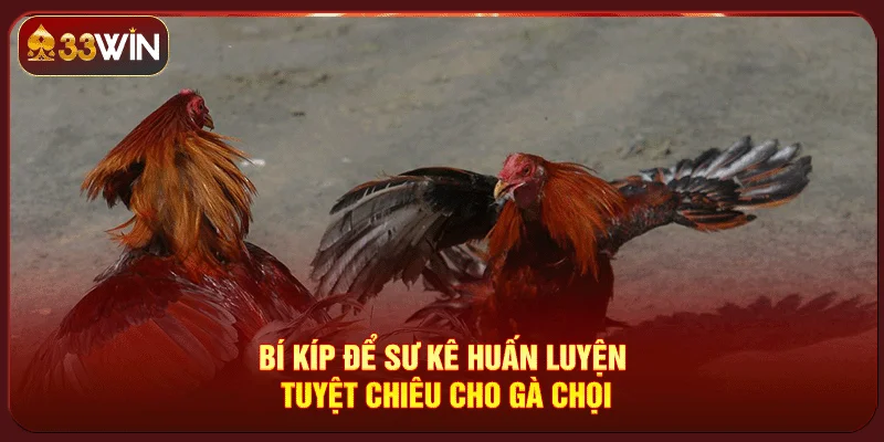 Các Thế Đòn Trong Đá Gà