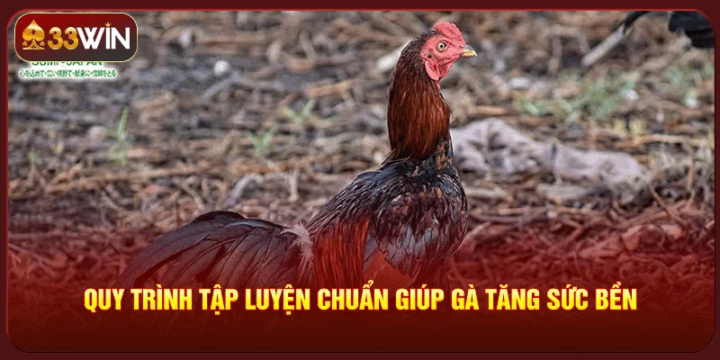 Kỹ Thuật Vần Nghệ Gà Đá